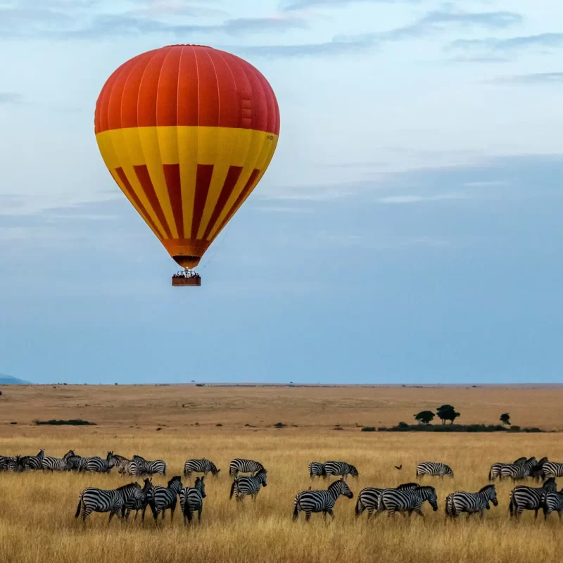 Hot air ballooning in Maasai Mara Reserve | Madison Domestic travel Insurance