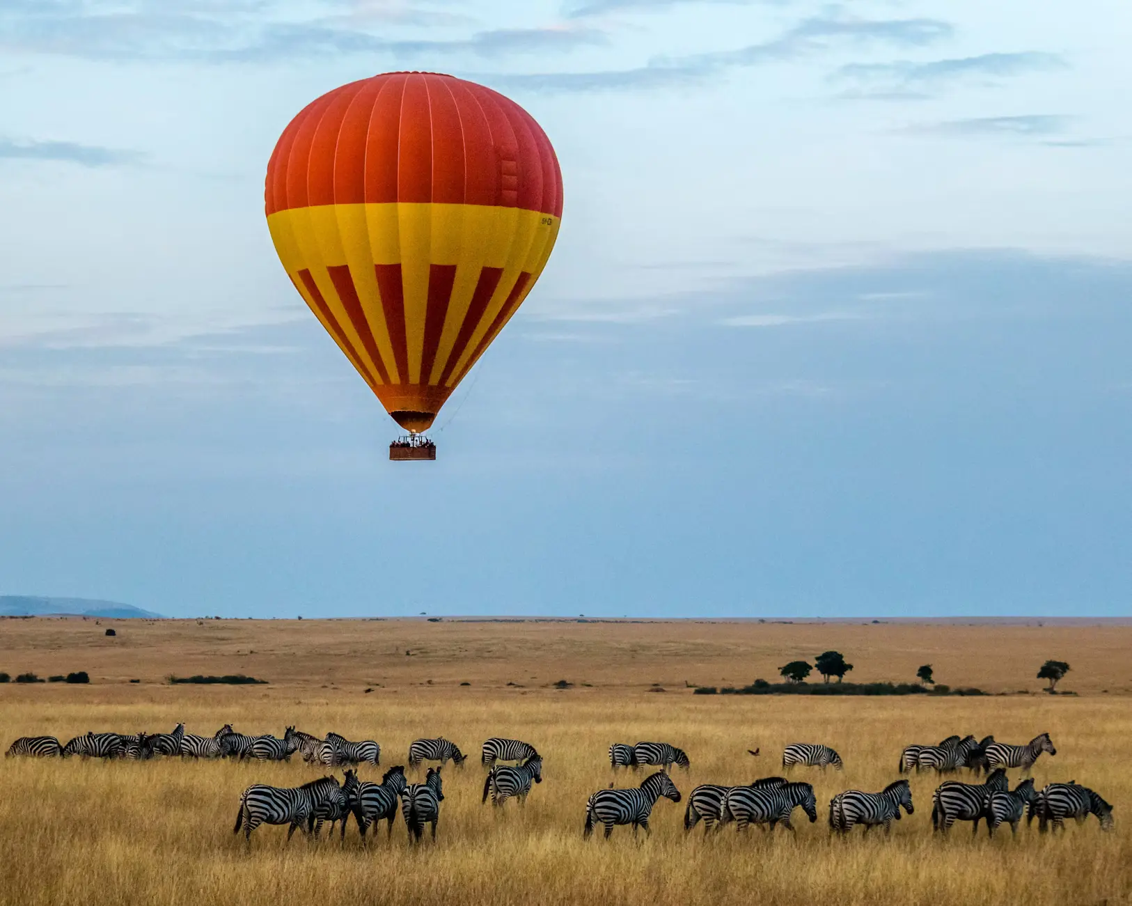 Stress-Free Local Trips in Kenya with Madison Safari Shwari Domestic Travel Insurance.